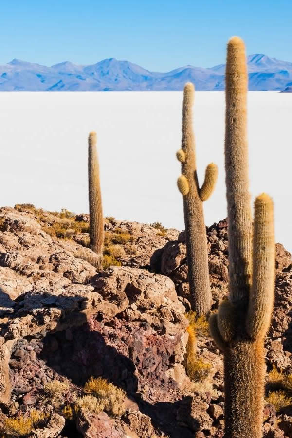 Uyuni Bolivia