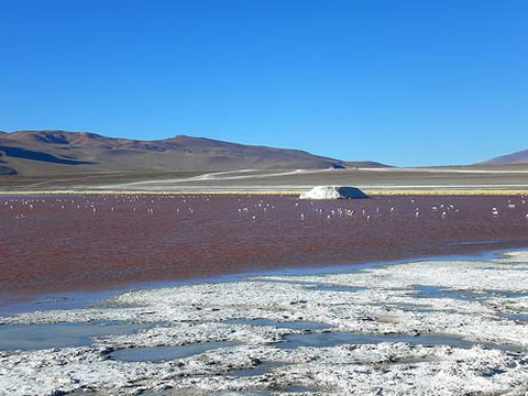 Laguna Colorada