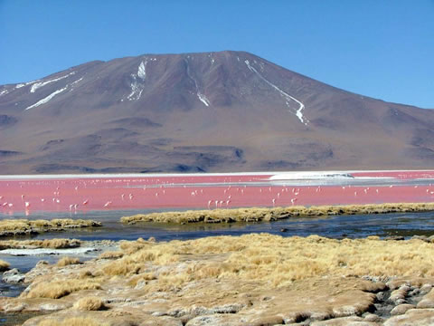 Laguna Colorada