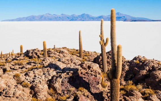 Salar y Sud Lipez (3D/2N)